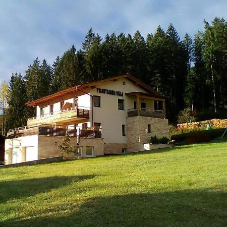 Transylvania Villa & Spa Gosau Esterno foto